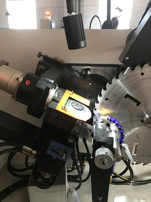 LDX-020A Machine automatique de meulage à l'angle avant et arrière de la lame de scie de travail du bois